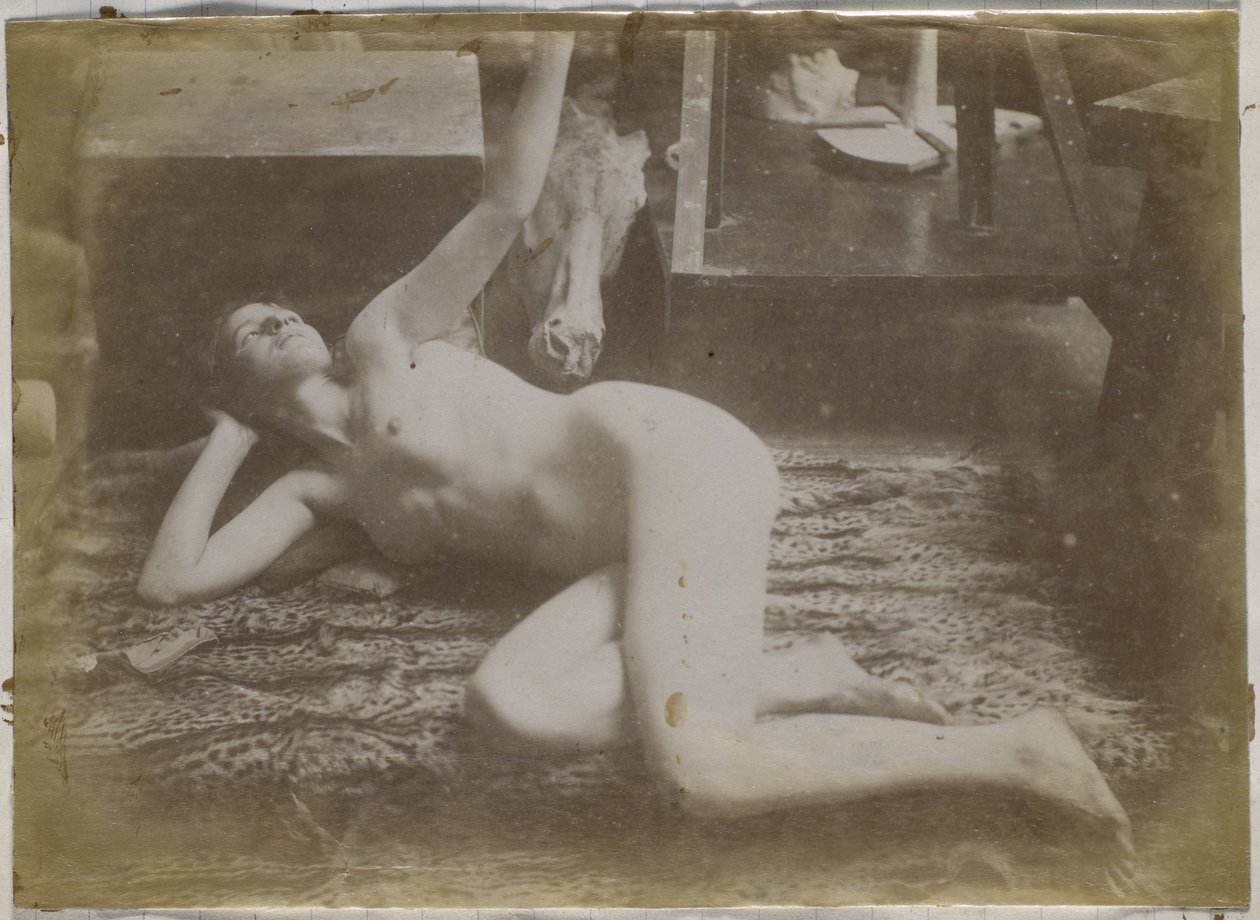 Estudo de uma modelo nua feminina, deitada sobre pele de tigre, no estúdio de Jacques de Lalaing de Jacques Lalaing (attributed to)