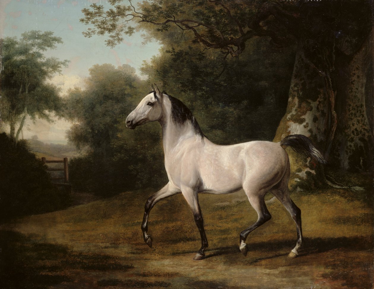 Um garanhão árabe cinza em uma paisagem arborizada de Jacques Laurent Agasse