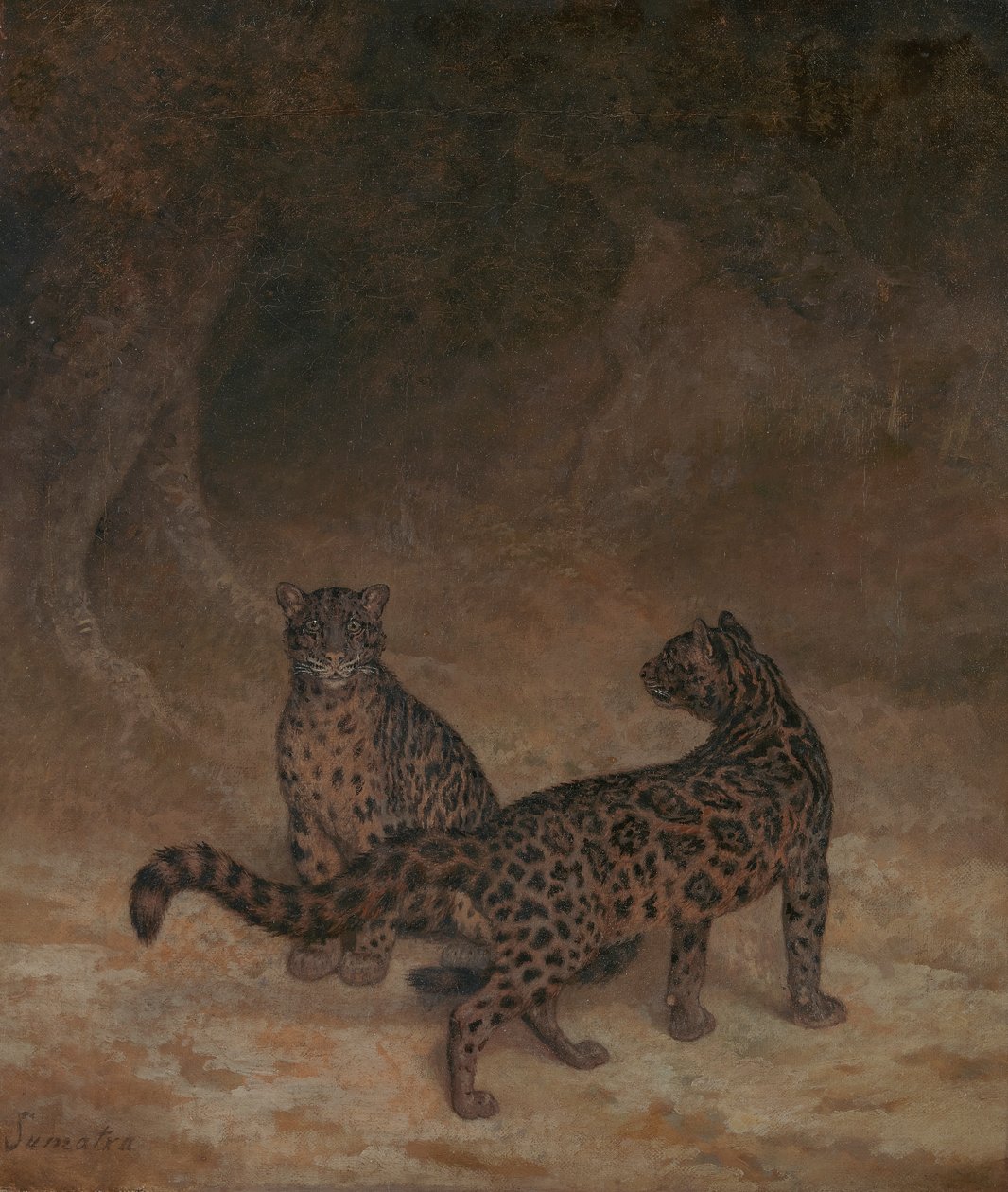 Leopardos nublados de Jacques Laurent Agasse