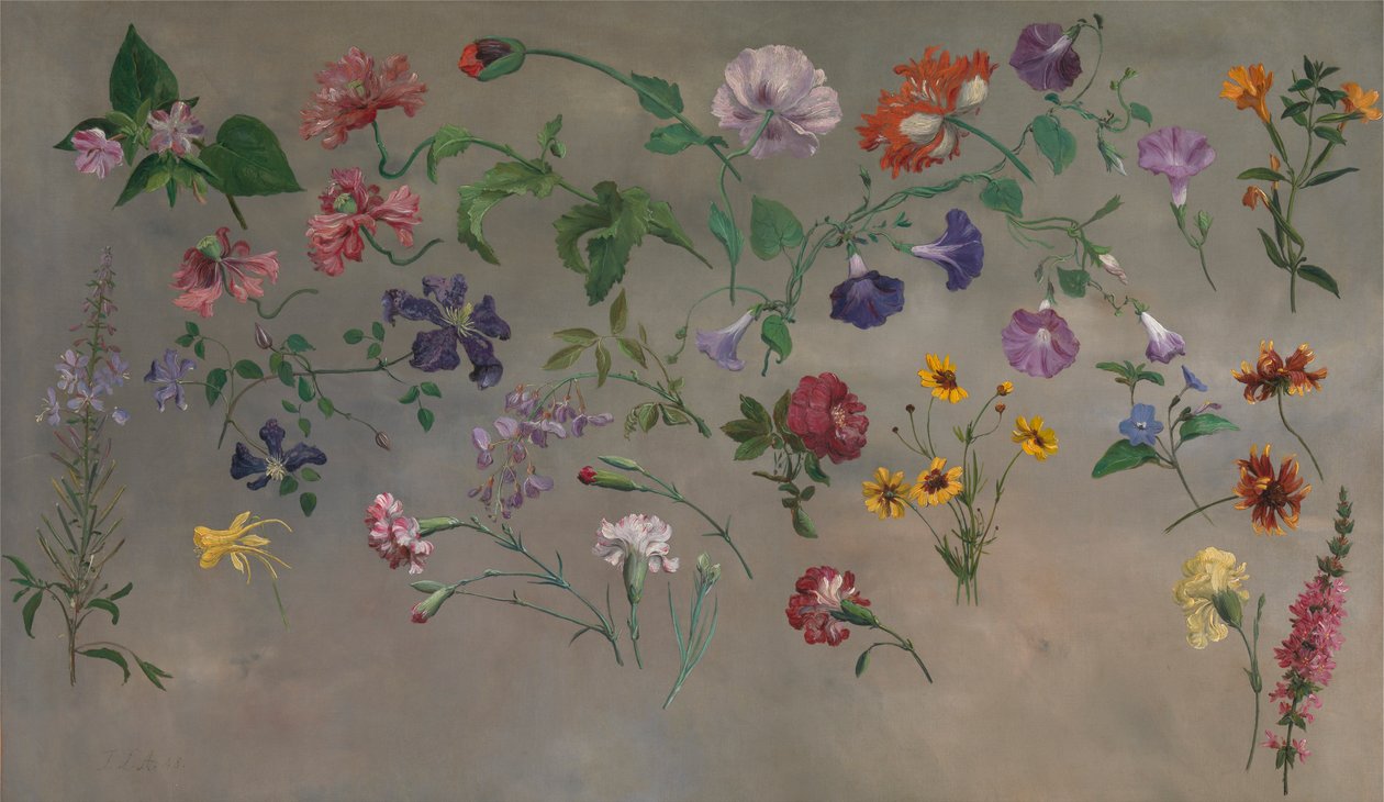 Studies of Flowers [1985, Cormack, YCBA Catálogo conciso] de Jacques Laurent Agasse