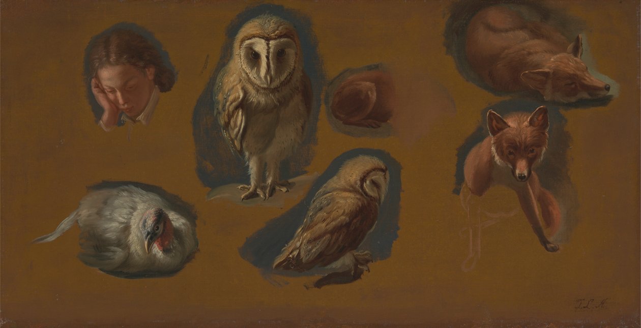 Estudos de uma Raposa, uma Coruja do Celeiro, um Peahen, e a Cabeça de um Jovem de Jacques Laurent Agasse