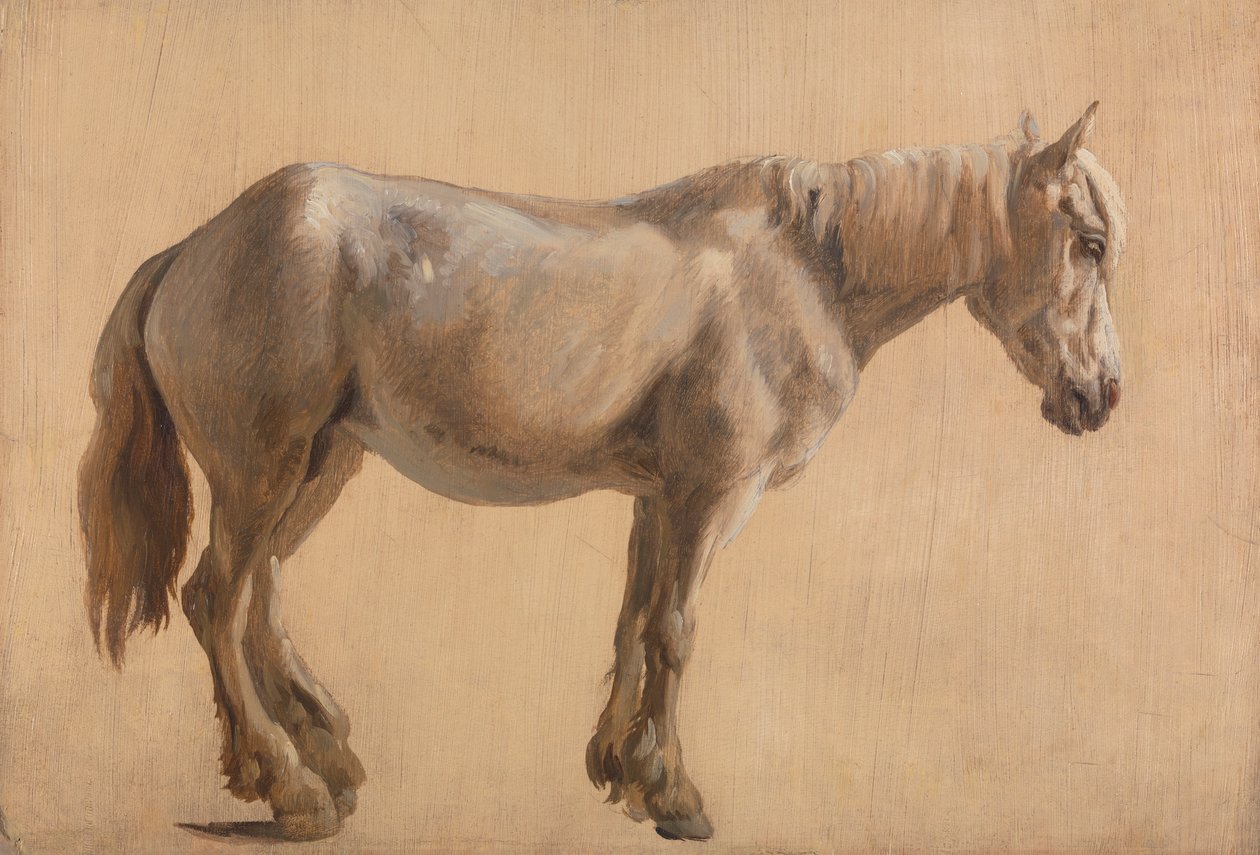 Estudo de um cavalo cinzento de Jacques Laurent Agasse