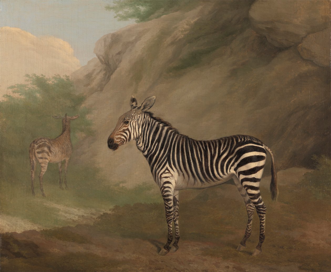 Zebra de Jacques Laurent Agasse