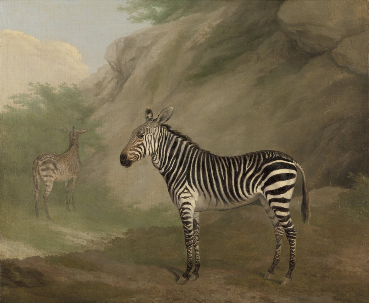 Zebra de Jacques Laurent Agasse