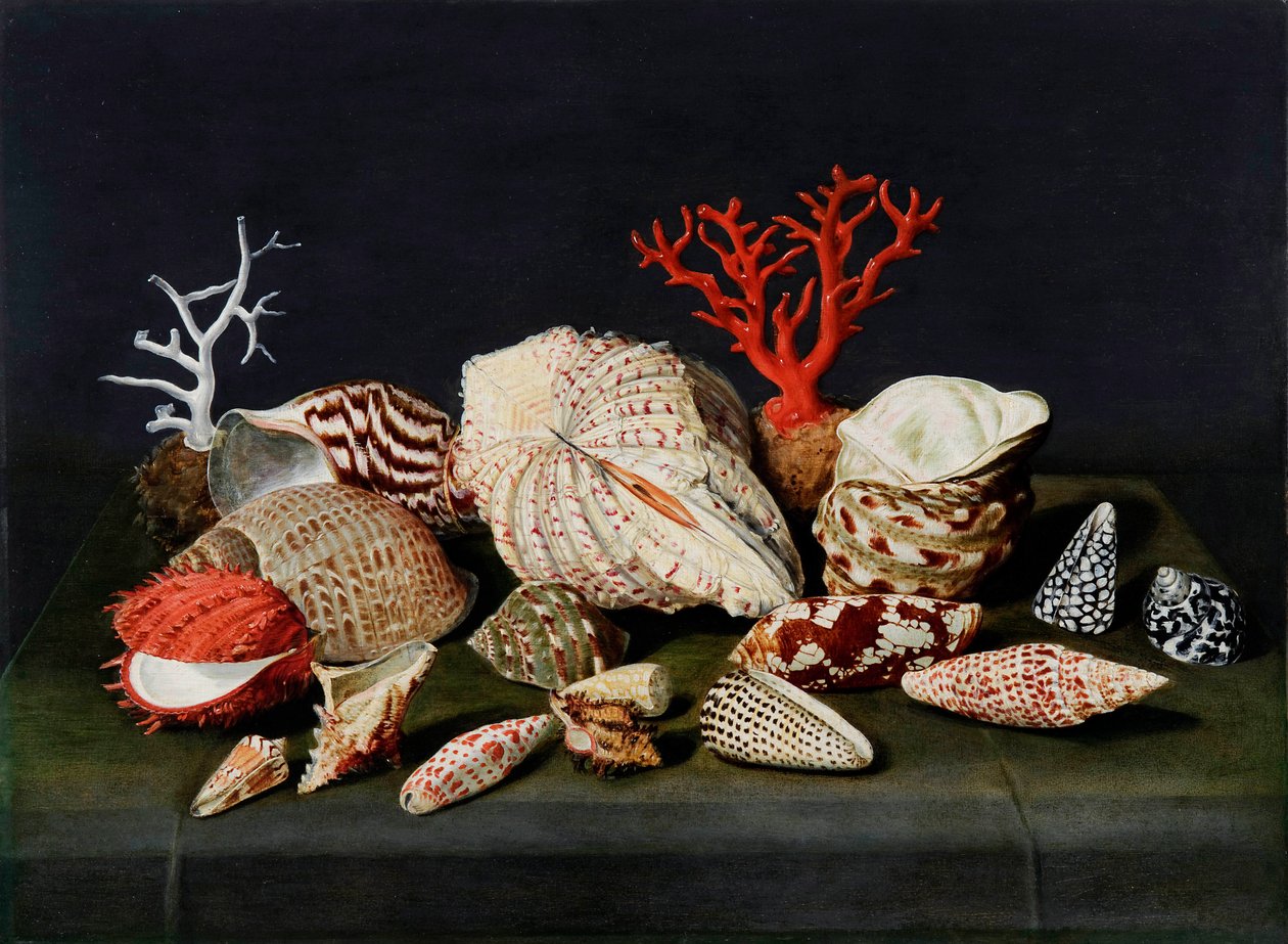 "Nature morte aux coquillages et coraux" (Natureza morta aux coquillages et coraux) Peinture de Jacques Linard (1597-1645), - Óleo sobre madeira, 47x64 - Fondation Custodia de Jacques Linard