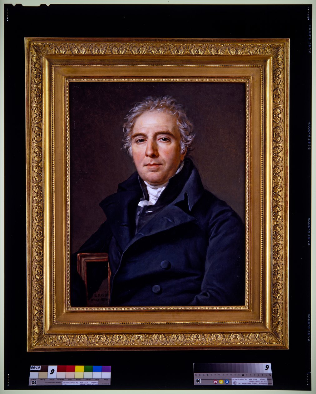 Um retrato de D.V. Ramel de Nogaret de Jacques Louis David