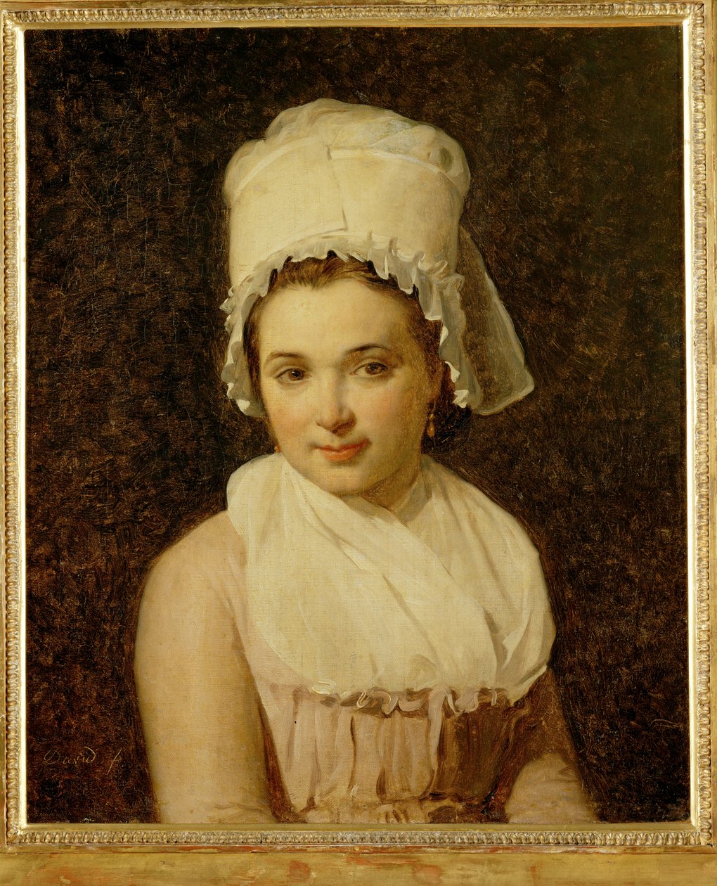 Catherine-Marie-Jeanne Tallard, esposa de François Lamy, presidente da Câmara de Sougere/Yonne ... de Jacques Louis David