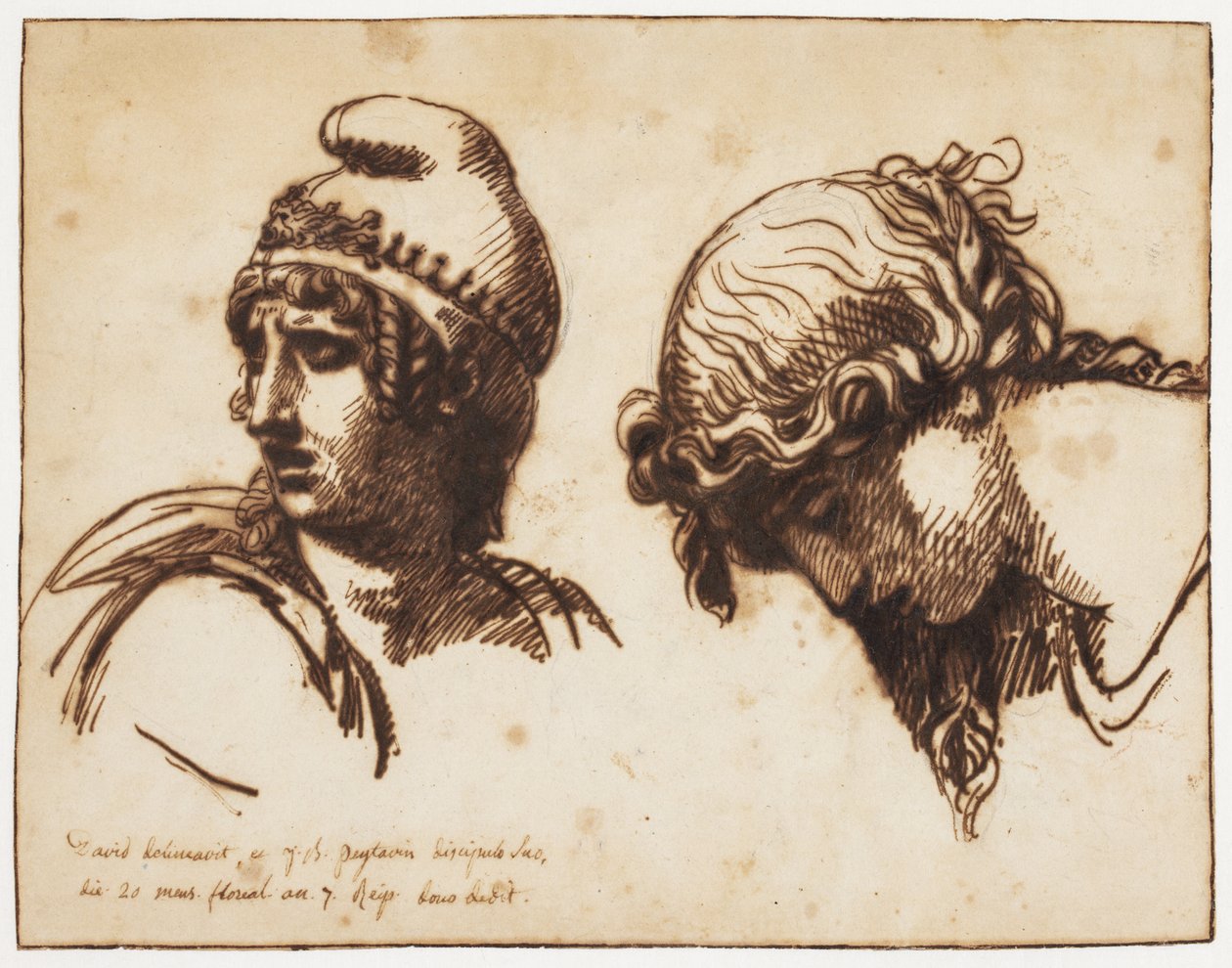 A cabeça de uma mulher e de um animal de estimação de Jacques Louis David