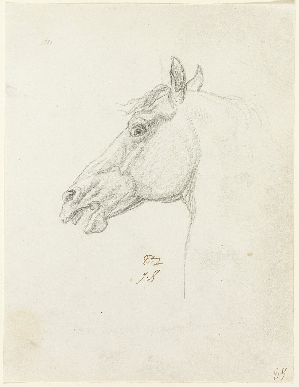 Cabeça de cavalo de Jacques Louis David