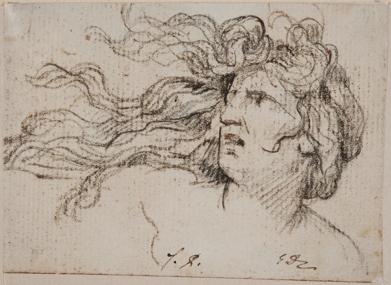 Cabeça de mulher com cabelo esvoaçante de Jacques Louis David