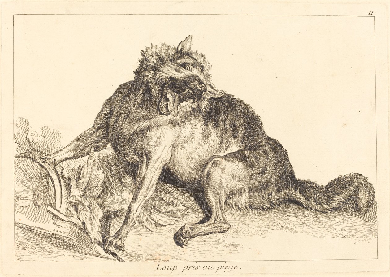 Lobo preso em uma armadilha de Jacques Philippe Le Bas and Jean Eric Rehn after Jean Baptiste Oudry