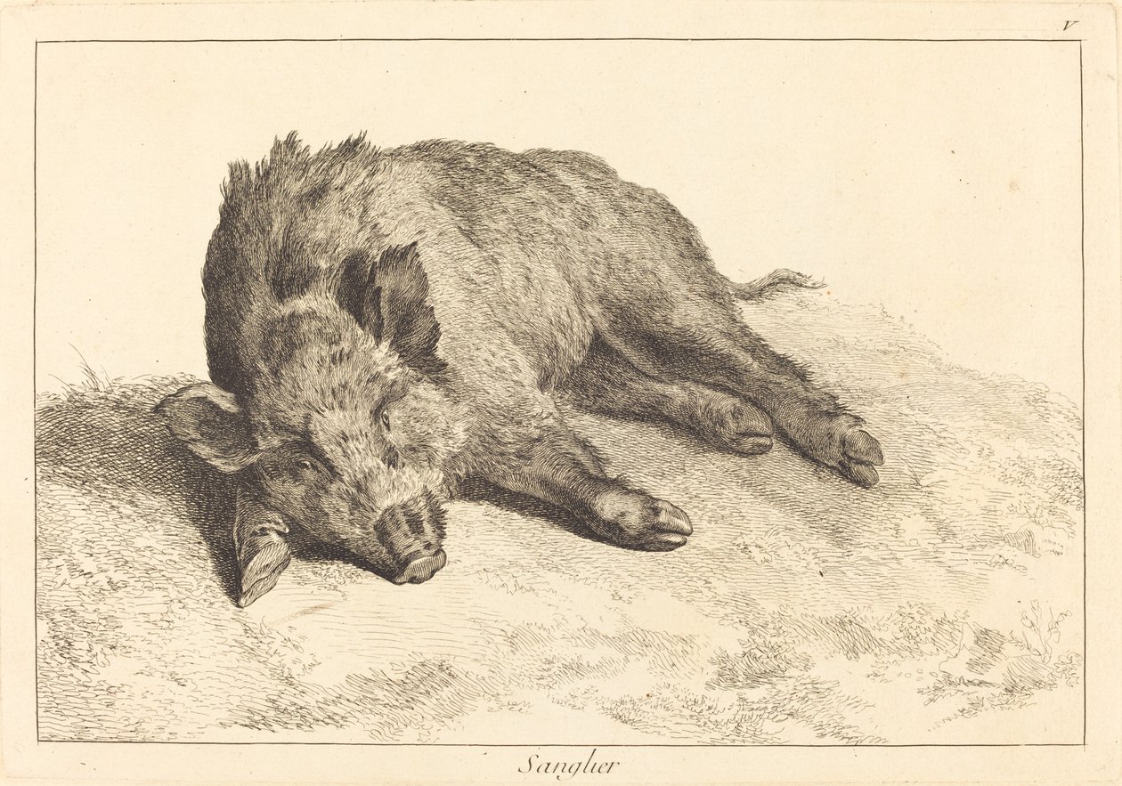 Sanglier (javali deitado, cabeça para a esquerda) de Jacques Philippe Le Bas and Jean Eric Rehn after Jean Baptiste Oudry