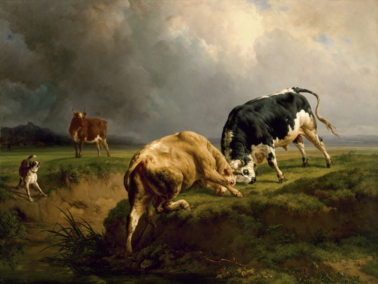 Uma luta de touro, 1855 de Jacques Raymond Brascassat