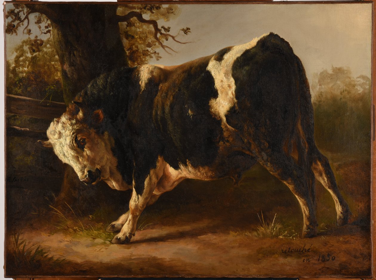 Touro irado de Jacques Raymond Brascassat