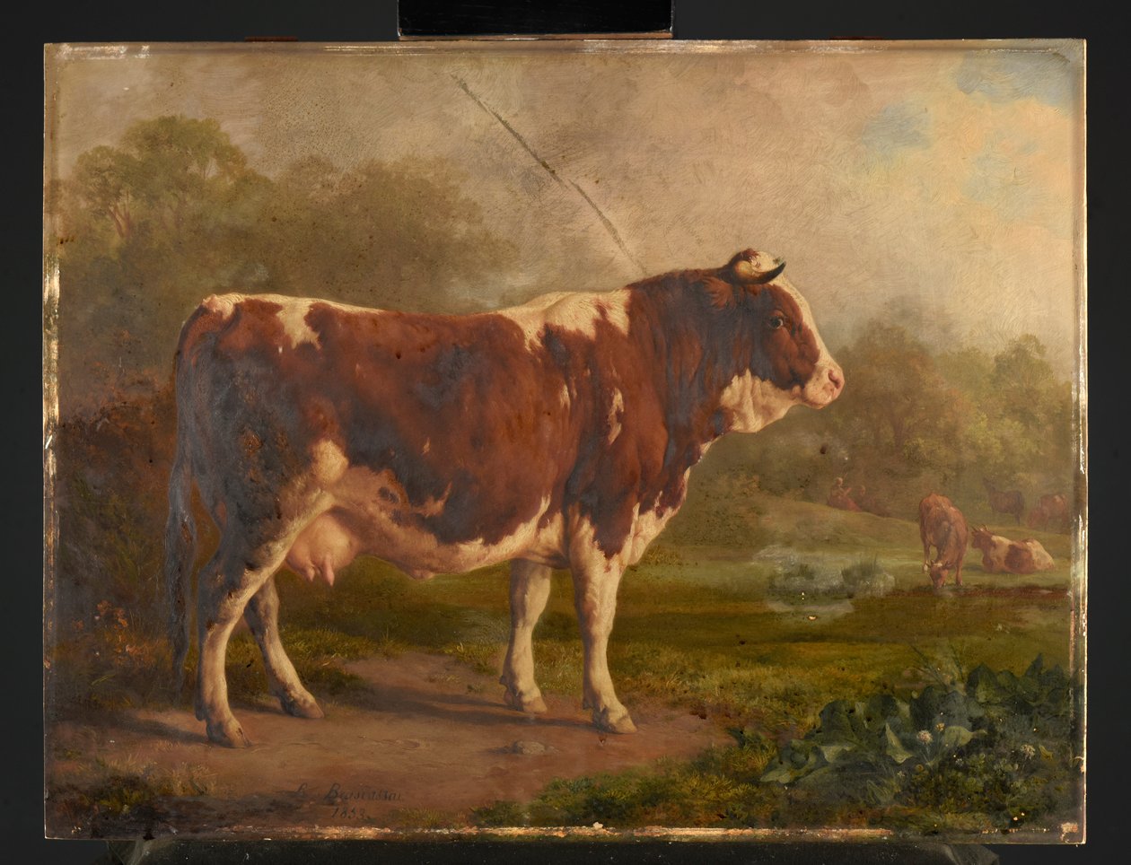 Vaca branca e vermelha de Jacques Raymond Brascassat