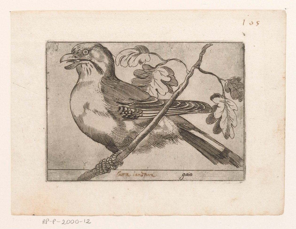 Gaai
Gaio (título sobre o objecto)
Vogels (título da série) de Jacques de Fornazeris (possibly)
