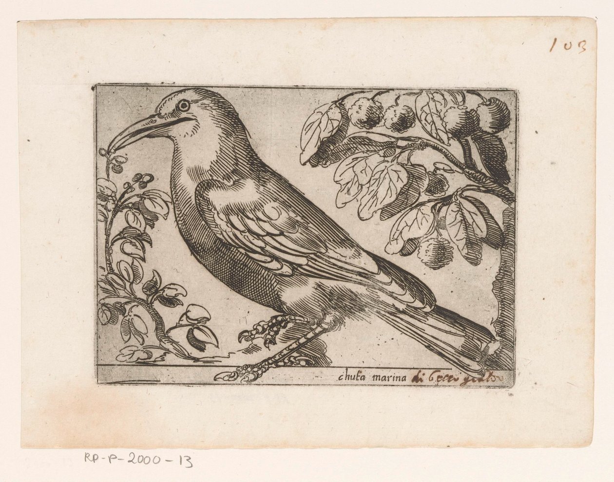 Vogel
Chuta marina (título sobre o objecto)
Vogels (título da série) de Jacques de Fornazeris (possibly)