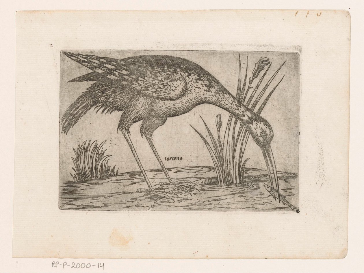 Vogel
Tartena (título sobre o objecto)
Vogels (título da série) de Jacques de Fornazeris (possibly)