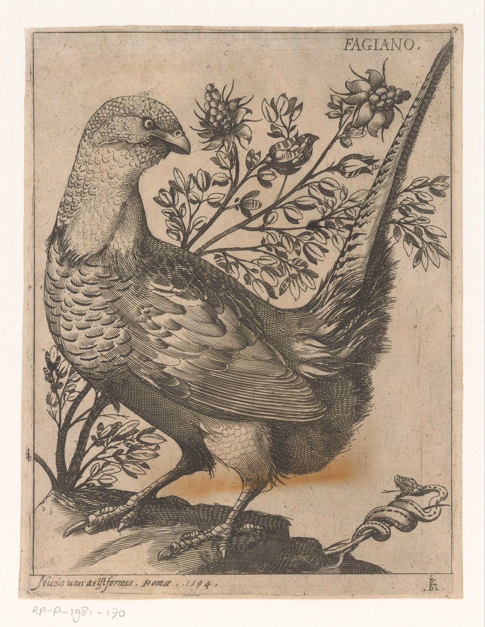 Fazant
Fagiano (título sobre o objecto)
Negen vogels (título da série) de Jacques de Fornazeris