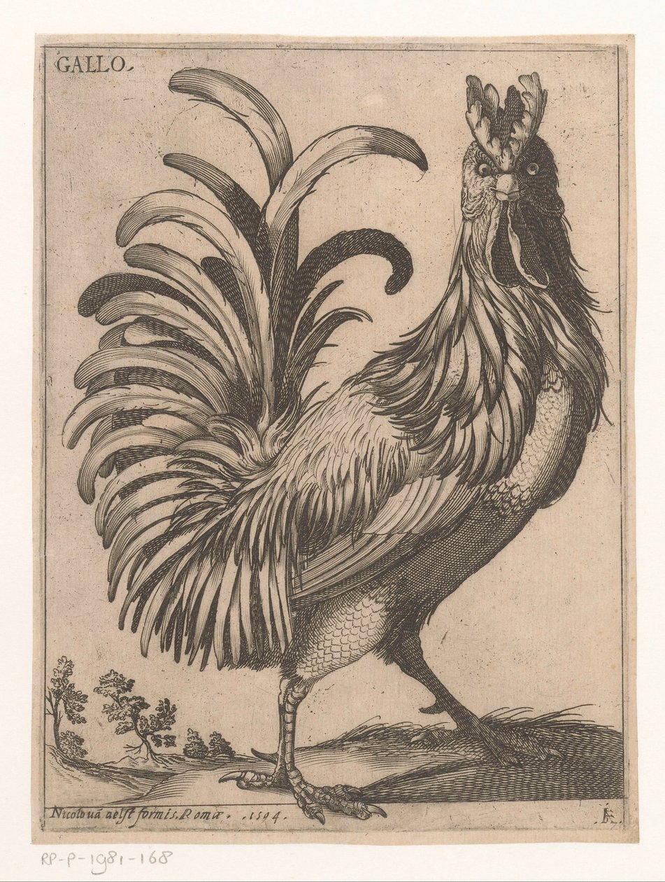 Galo
Gallo (título sobre o objecto)
Nove pássaros (título da série) de Jacques de Fornazeris