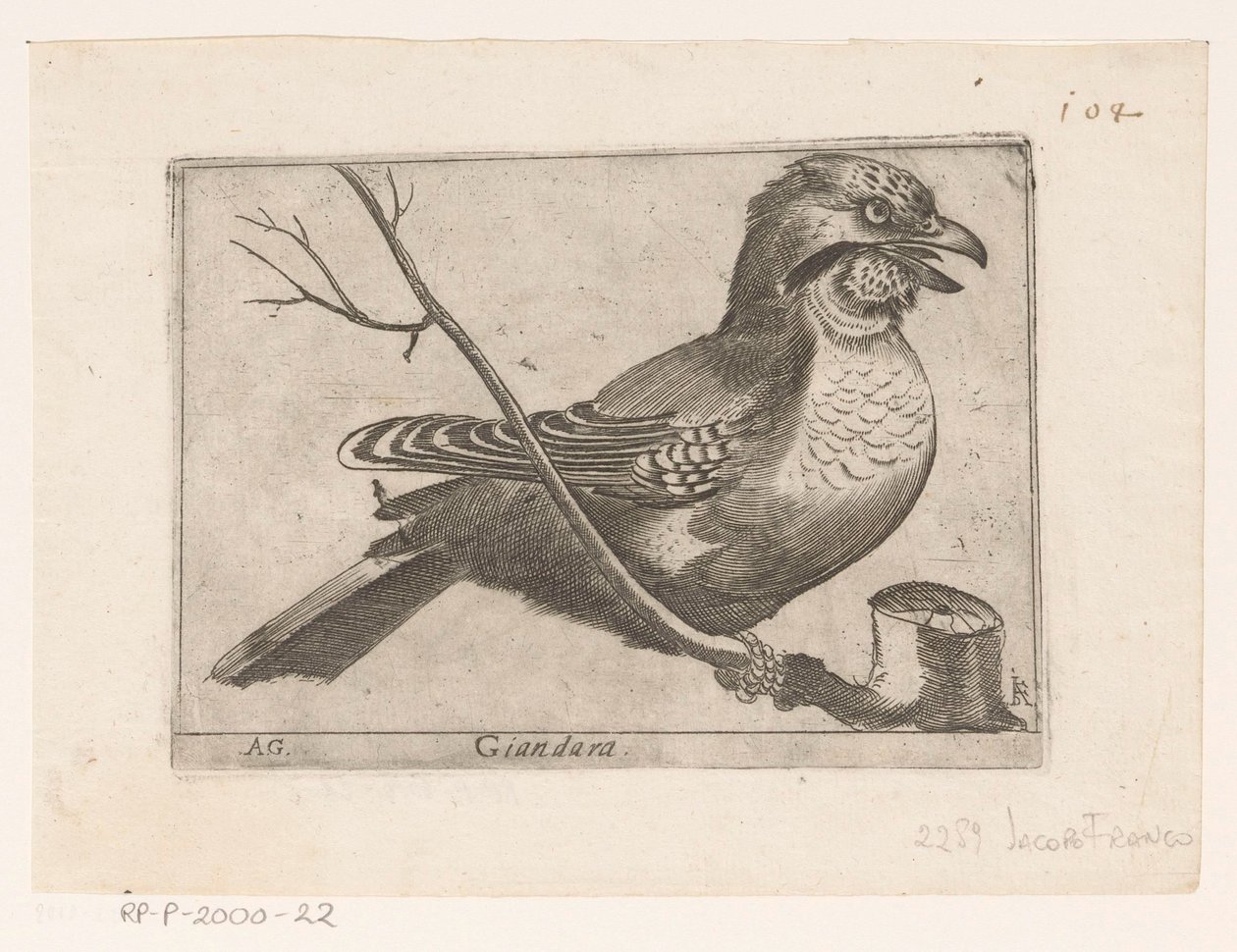 Jay (Garrulus glandarius) Giandara (título no objeto) Aves (título da série) de Jacques de Fornazeris