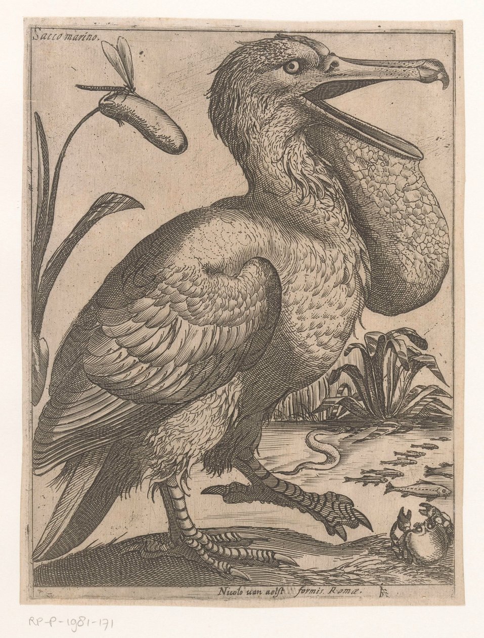 pássaro aquático Sacco Marino (título no objeto) Nine Birds (título da série) de Jacques de Fornazeris
