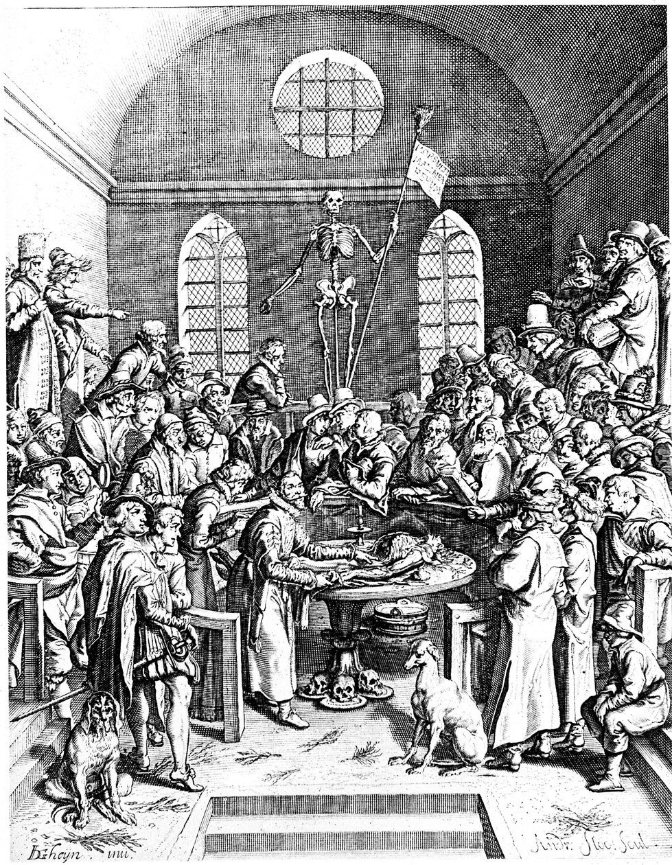 Teatro de anatomia do final do século XVI, Jacques de Gehyn, o Velho, 1633 de Jacques de Gehyn the Elder