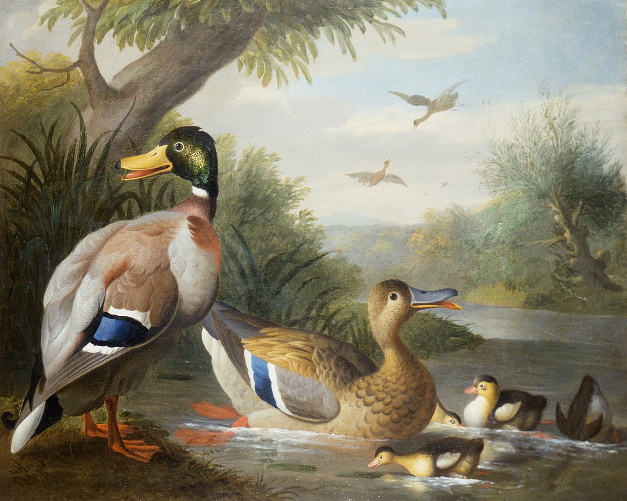 Patos em uma paisagem do rio de Jakob Bogdani or Bogdany