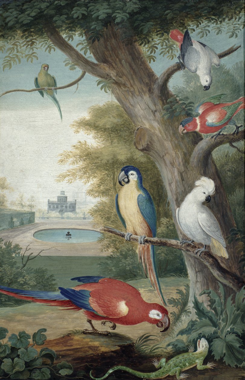 Papagaios e um lagarto em um parque pitoresco, início do século XVIII de Jakob Bogdani or Bogdany