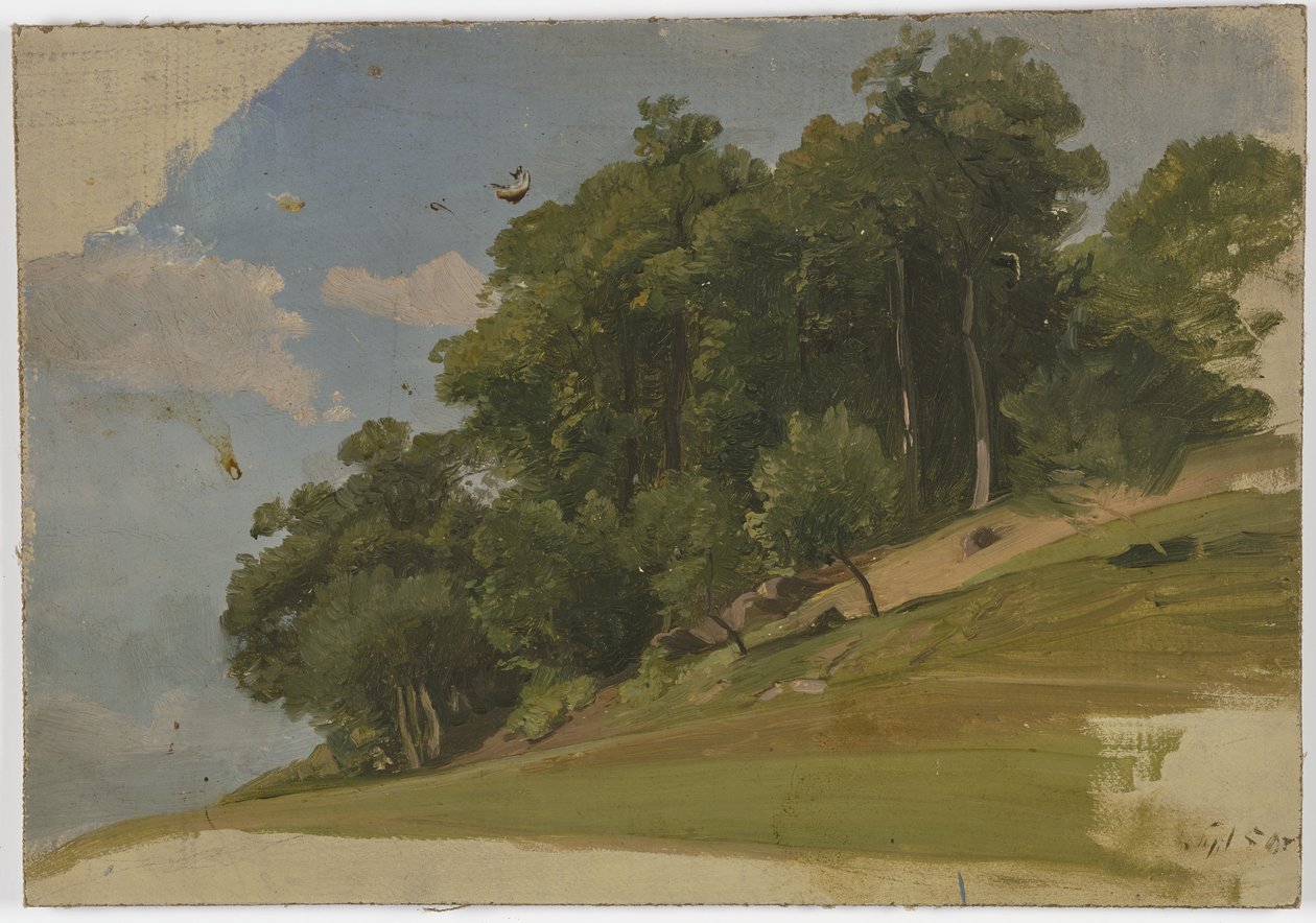 Orla de um bosque de Jakob Becker