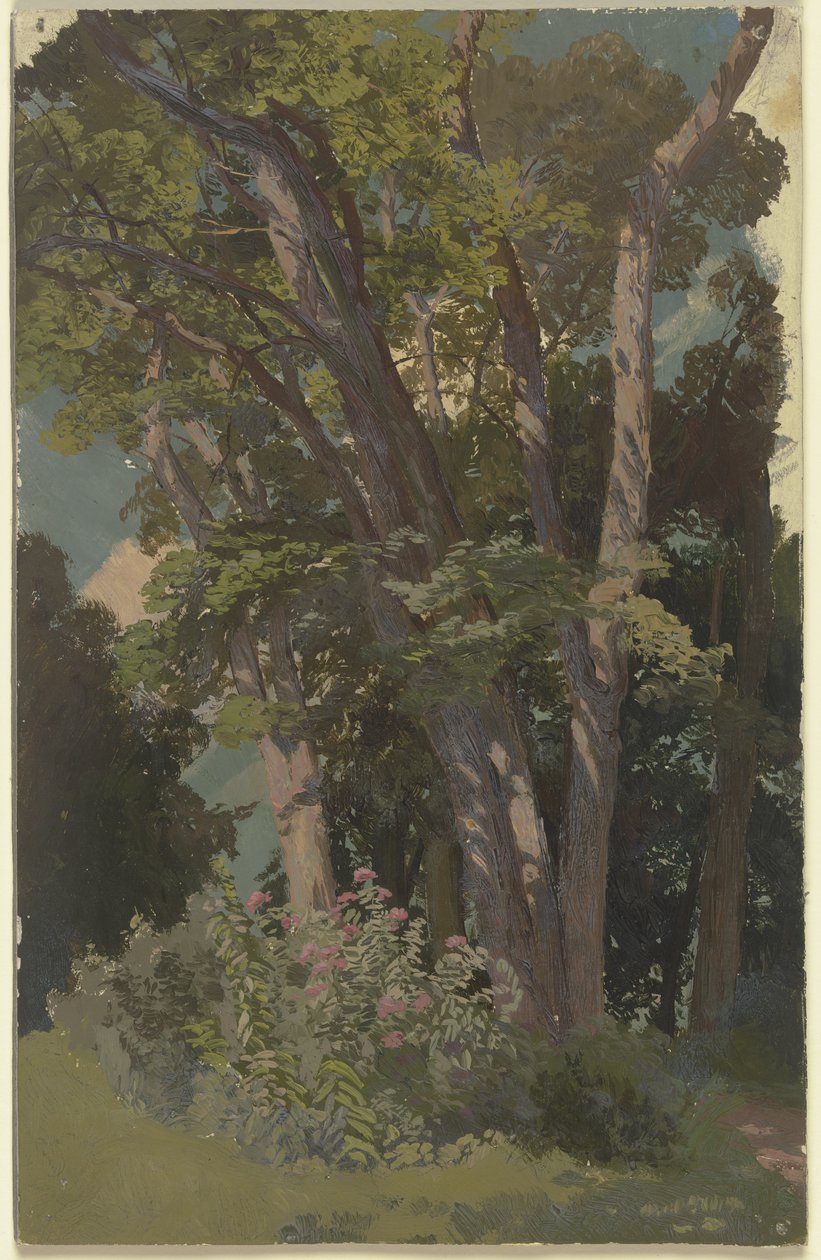 Estudo de parque, clareira de Jakob Becker