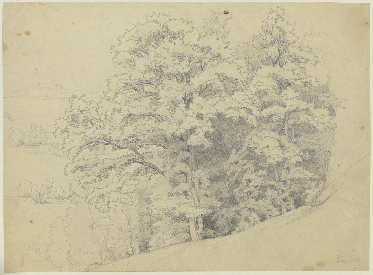 Trecho de floresta numa encosta de Jakob Becker