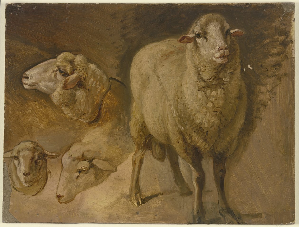Ovelhas de Jakob Becker