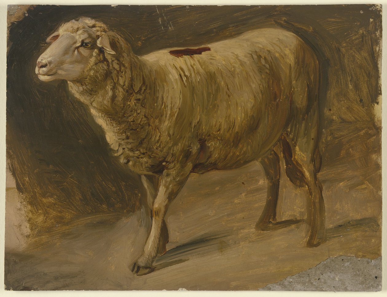 Ovelhas de Jakob Becker