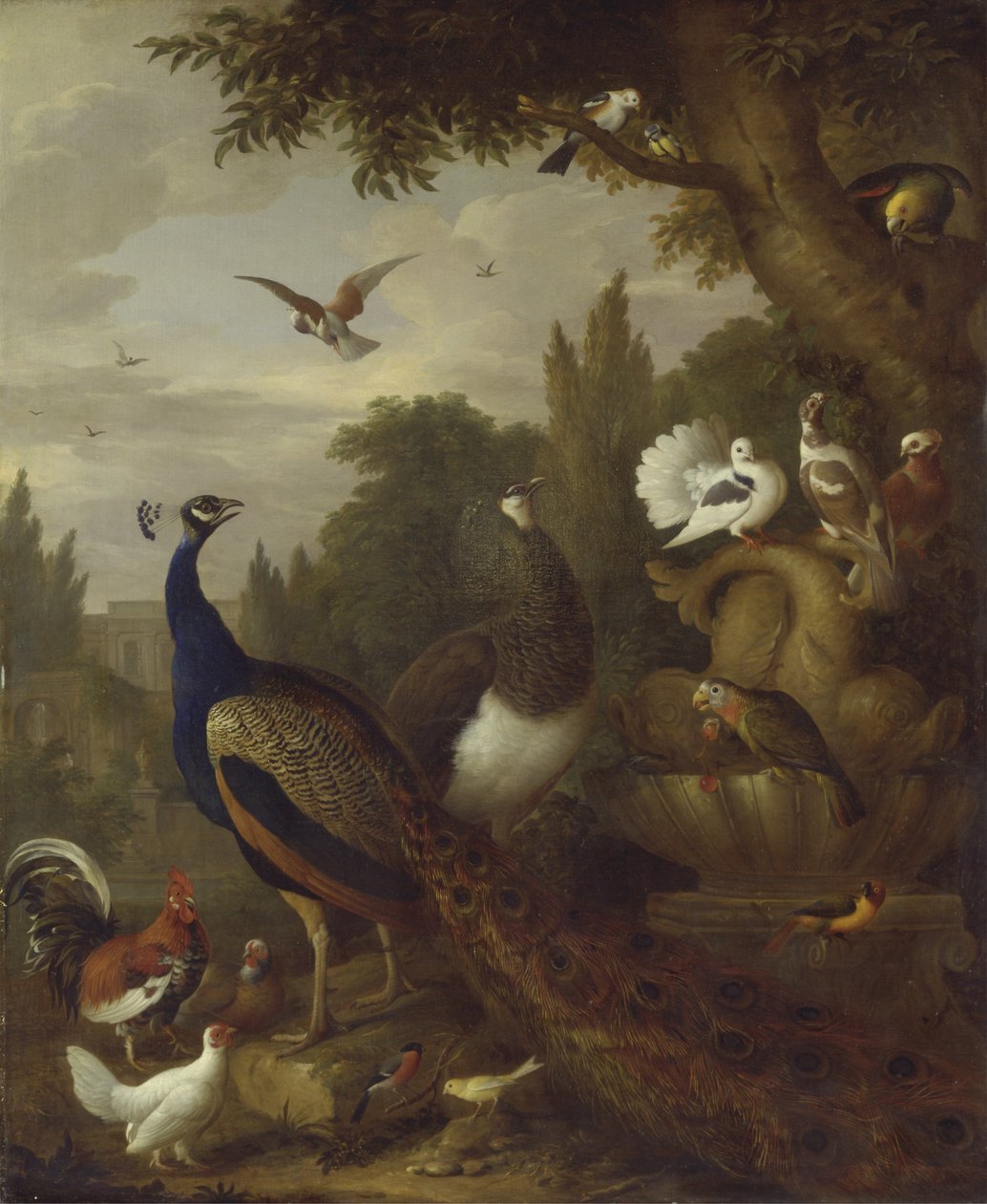 Pavão, pavoa, papagaio, canário e outras aves em um parque, c.1708-10 de Jakob Bogdani or Bogdany