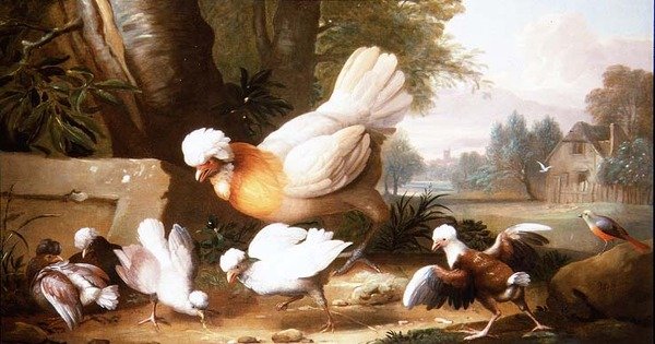 Aves e Pombos em Paisagem de Jakob Bogdani or Bogdany