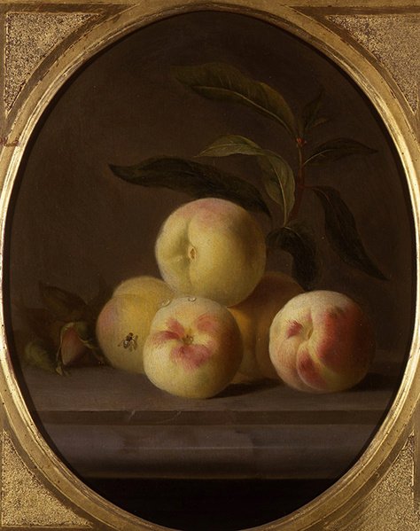 Natureza Morta de Fruta com Mosca (óleo sobre tela) de Jakob Bogdani or Bogdany