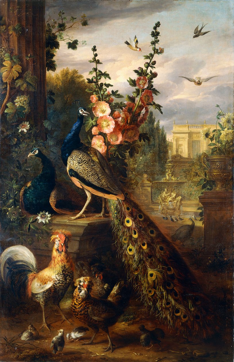 Dois pavões em um pedestal de pedra em um jardim, de Jakob Bogdani or Bogdany