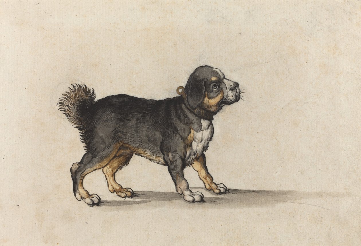 Um Mastiff com um colar de ferramentas de ouro de Jakob Walther