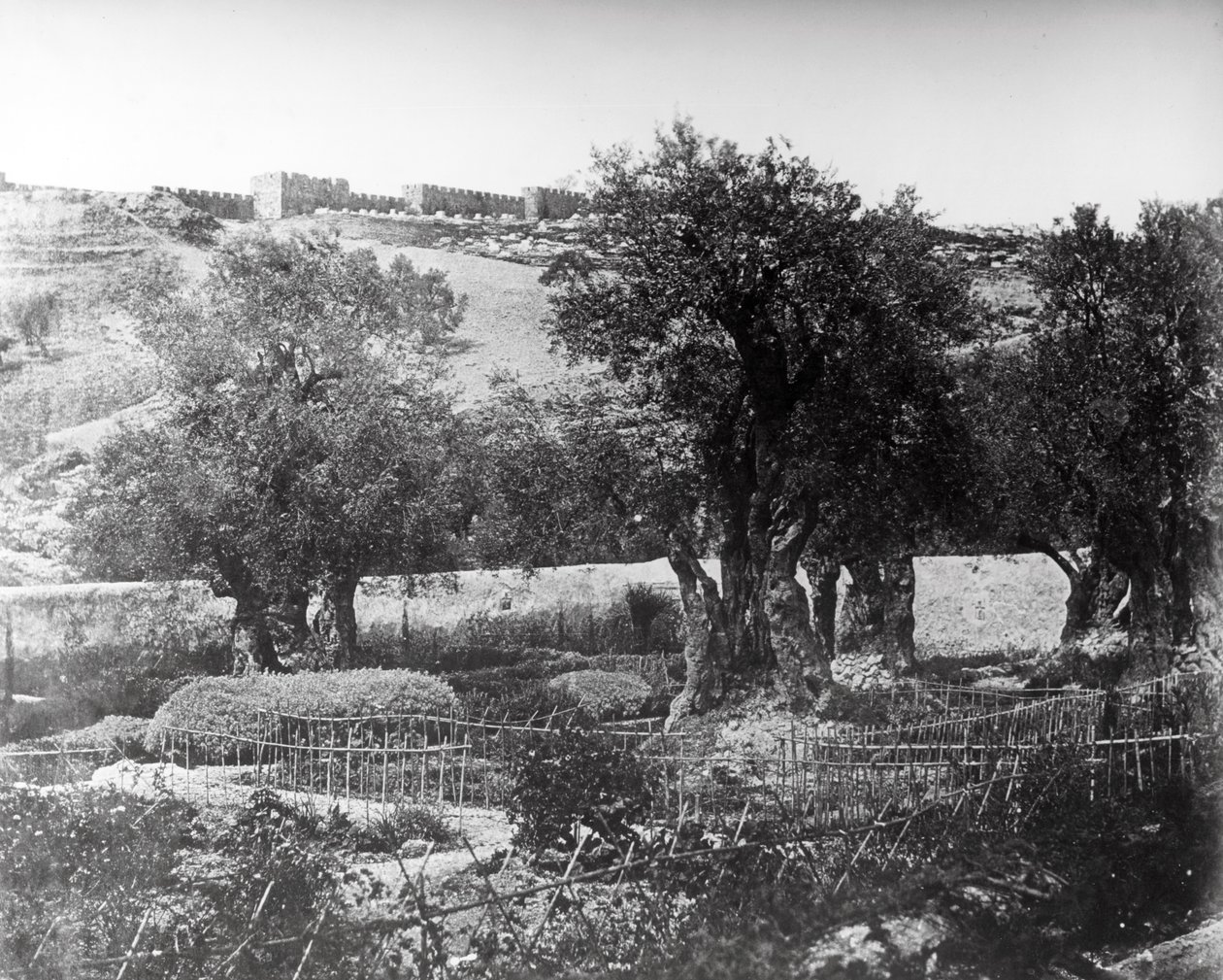 Getsêmani, 1857 de Felice Beato