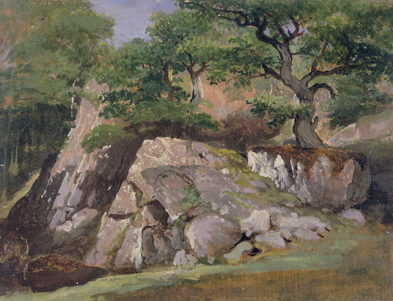 Uma vista do vale das rochas perto de Mittlach (óleo sobre papel) de James Arthur O