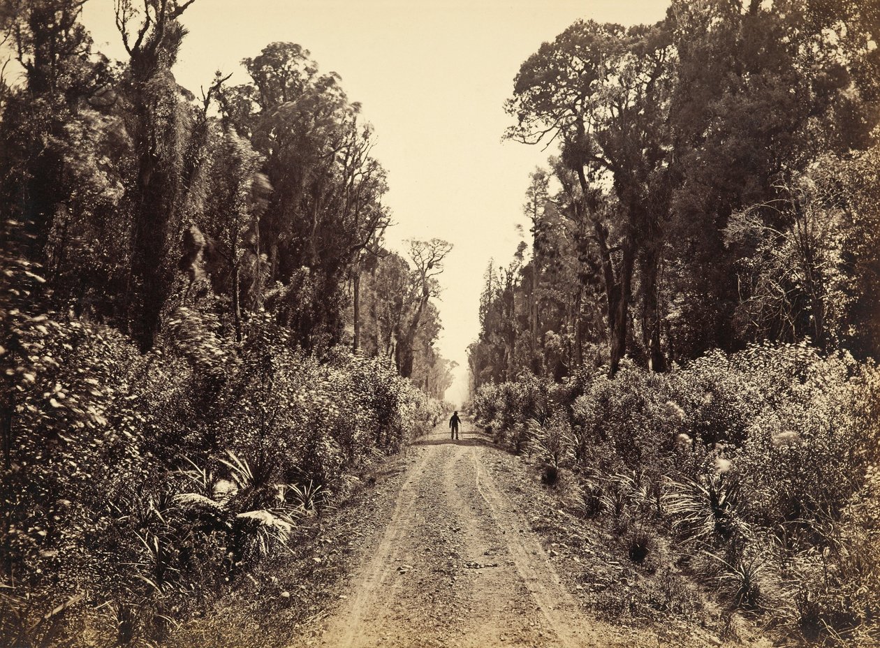 Avenida das Cinco Milhas, Quarenta Milha Bush de James Bragge