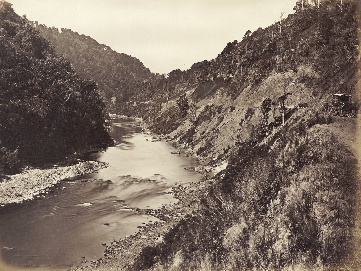 Manawatu Gorge 1 Mile From Bridge, 1878 (impressão albumen) de James Bragge