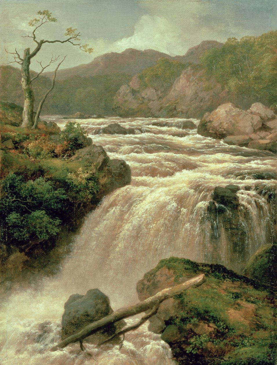 Cachoeira no rio Neath, Gales do Sul, século XIX de James Burrell Smith