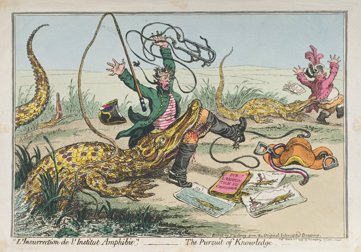 &39;L&39;Insurrection de l&39;Institut Amphibie&39; ou The Pursuit of Knowledge, publicado por Hannah Humphrey em 1799 (gravura à mão colorida) de James Gillray