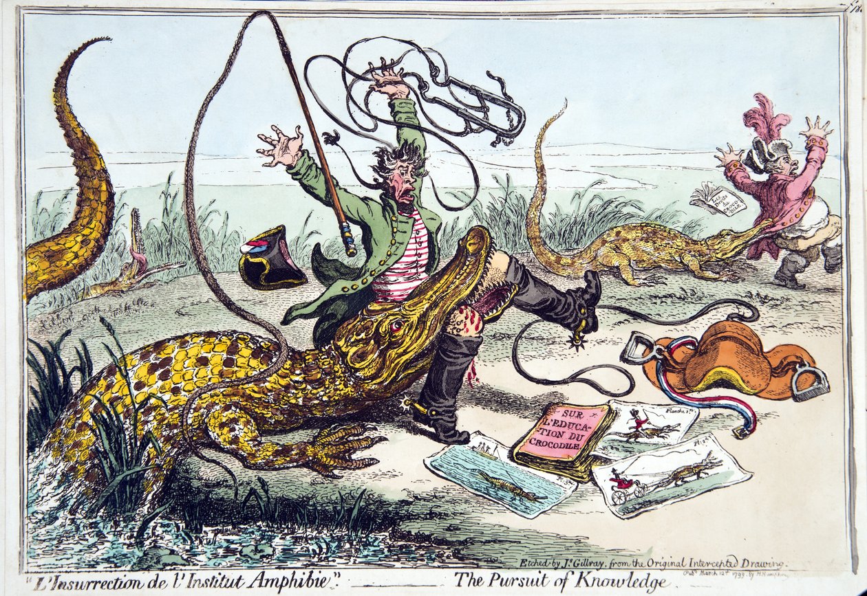 &39;L&39;Insurrection de l&39;Institut Amphibie&39; ou The Pursuit of Knowledge, publicado por Hannah Humphrey em 1799 (gravura à mão colorida) de James Gillray