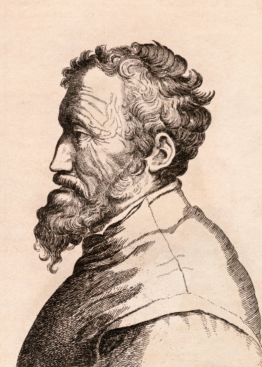 Michelangelo di Lodovico Buonarroti Simoni, ilustração de &39;75 retratos de pintores célebres de originais autênticos &39;, publicado em Londres, 1817 de James Girtin