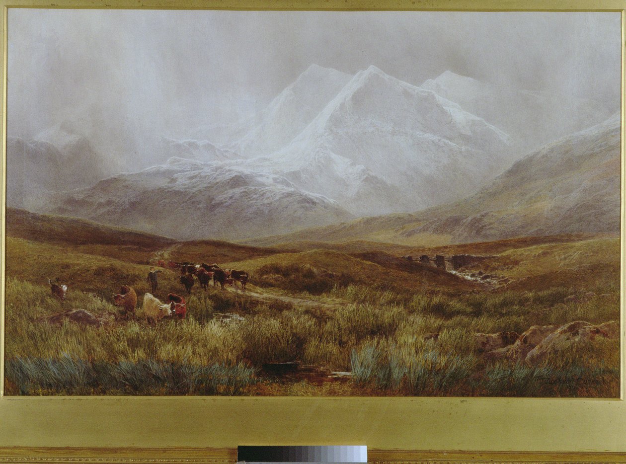 Tempestade de neve sobre Snowdon, 1879 de James Jackson Curnock