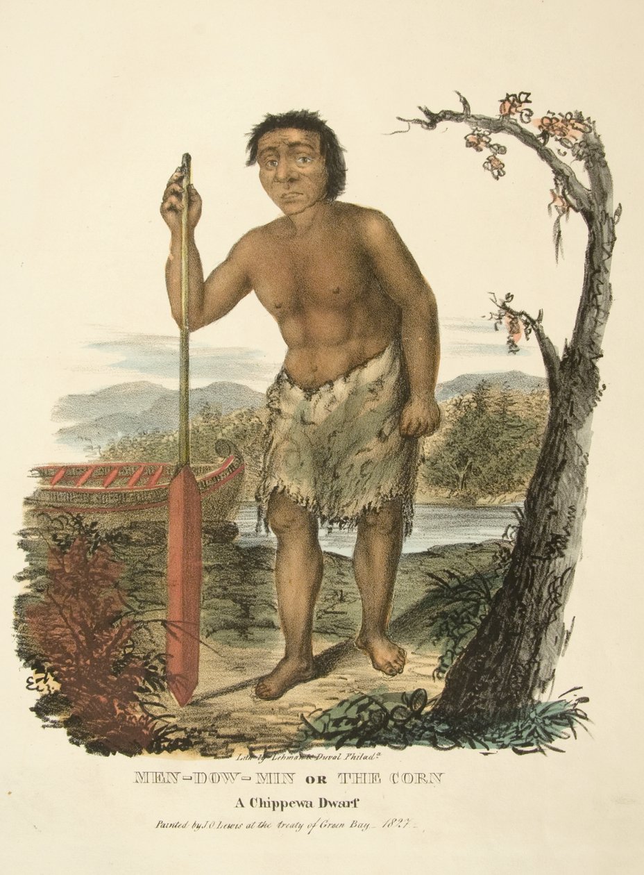 Men-dow-min ou o milho de James Otto Lewis