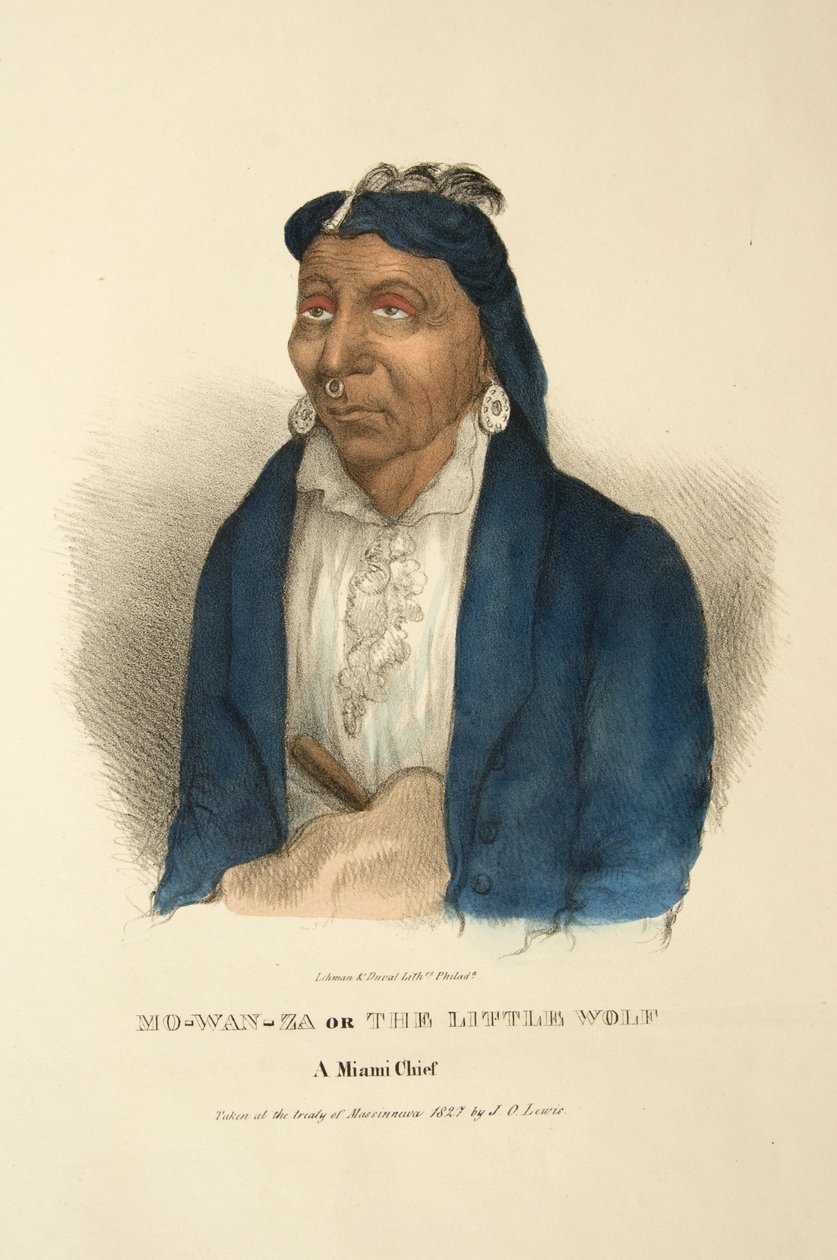 Mo-wan-za ou o lobo pequeno de James Otto Lewis